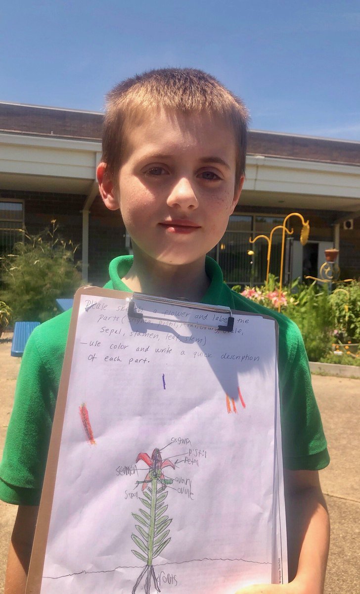 marietculver's tweet photo. Plant Parts 101 in the Courtyard Garden with 5th Grade @SeatackAADA #seatackdreamers @cochrandreamers @lmforbes_ 🌱☀️💚🤗 #DrawMyThinking #BeyondtheWalls #ScienceisAlive https://t.co/jozz5X6Dg0