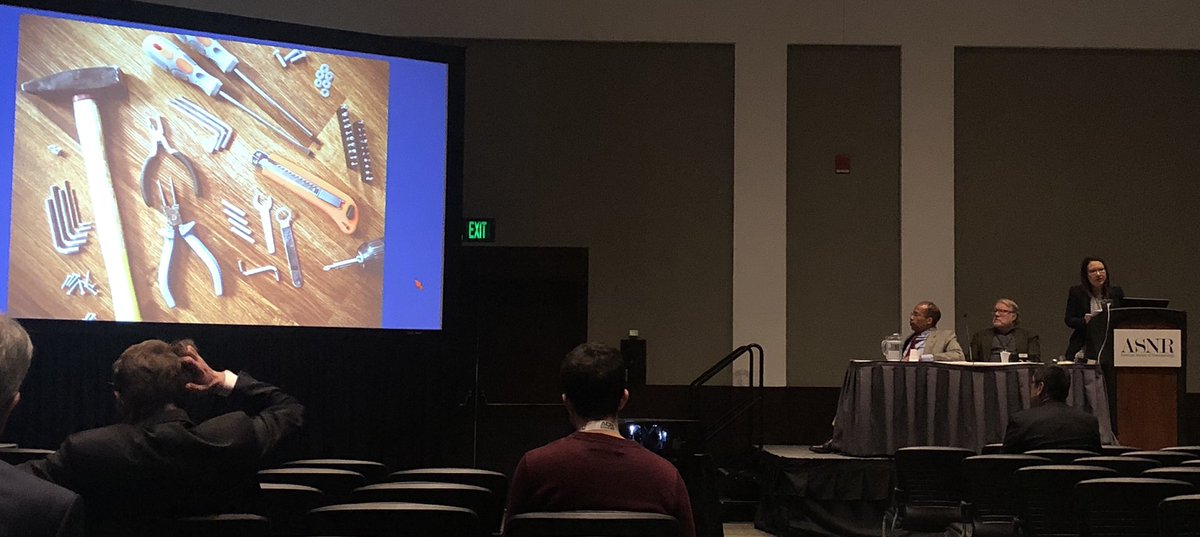 CMLincolnMD's tweet photo. @MelissaChenMD, #radecon #radxx #leader, speaking on quality payment —in summary, participation with #ClinicalDecisionSupport, #RSCAN and #registries is the best way #ASNR19 https://t.co/ecCUwgIaKA