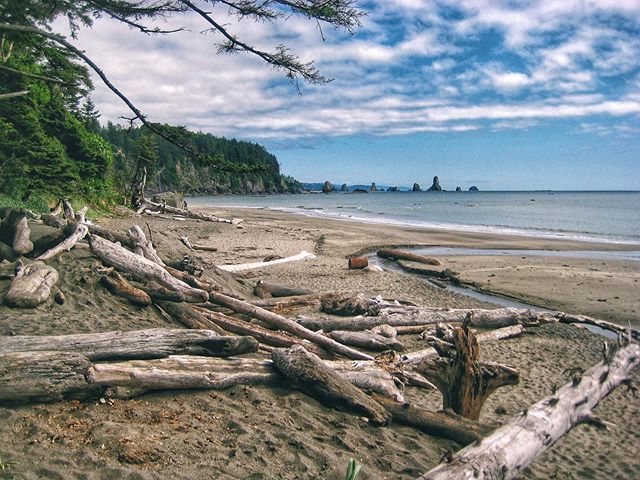 SweetTeaScience's tweet photo. *NEW POST* National Park Roadtrip

Days 19-21
Olympic National Park – Park #7!
Homeland of the Quinault and the Hoh

Reaching the Olympic Peninsula meant taking our first ferry ride. We hopped on the ferry as the sun was setting over Seattle and arrived … https://t.co/fvVlcdDspv https://t.co/WXB6dS1MpN
