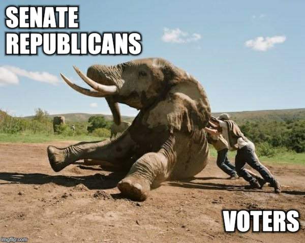 RepublicanGold's tweet image. GET IN FRONT OF A CAMERA AND SUPPORT OUR PRESIDENT!!!!
@tedcruz @JohnCornyn @SenMikeLee @SenateGOP @GOPChairwoman
