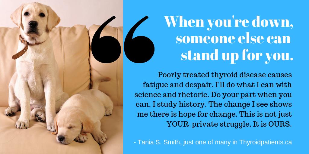 CanadianThyroid's tweet photo. "When you're down, someone else can stand up for you." My message of hope for all #thyroid patients who desire improvements to their own thyroid therapy, and all who desire to see improvements for everyone's thyroid therapy. This is not just YOUR private struggle. It is OURS. https://t.co/xiMXqdStx0