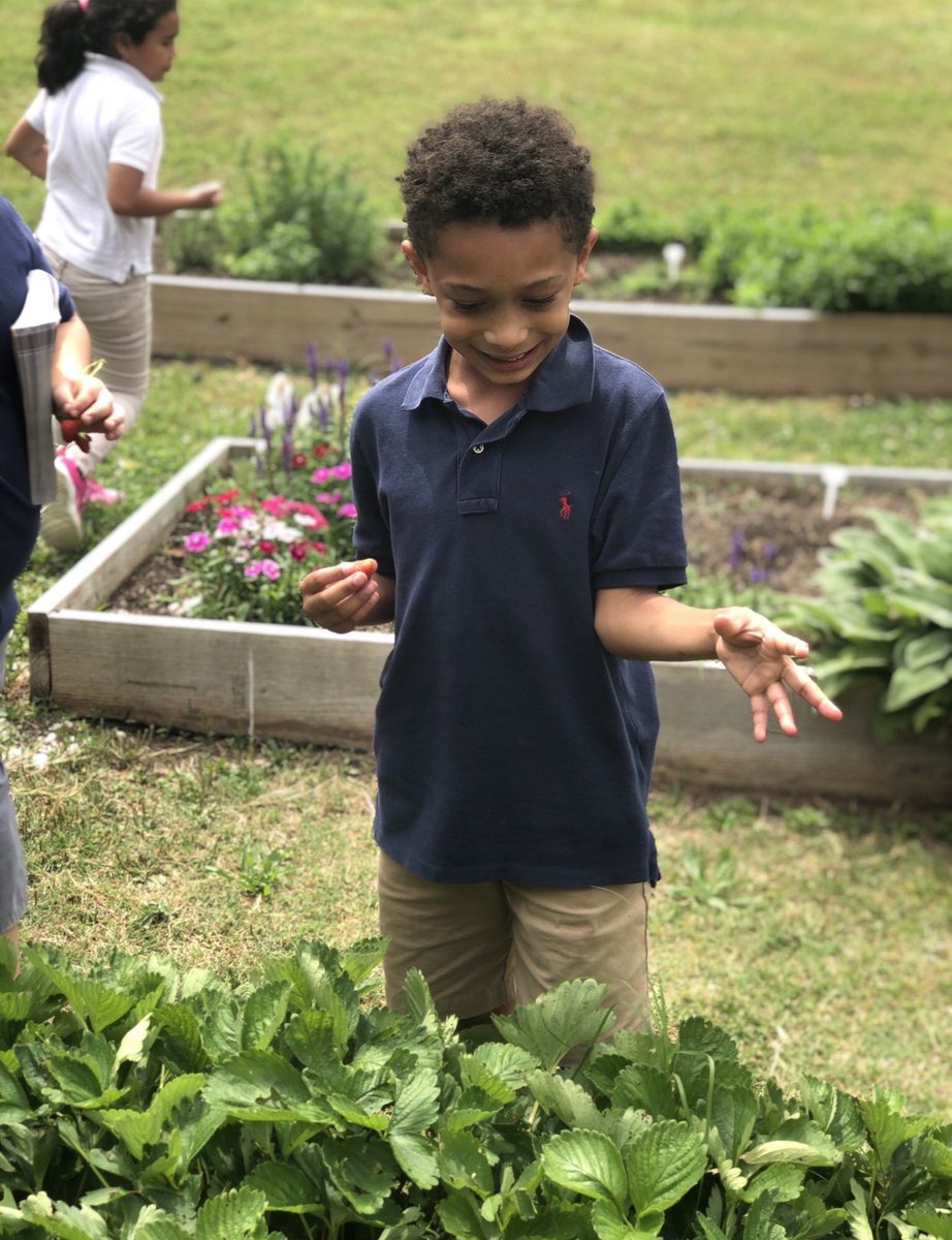 JacksonParkElem tweet media