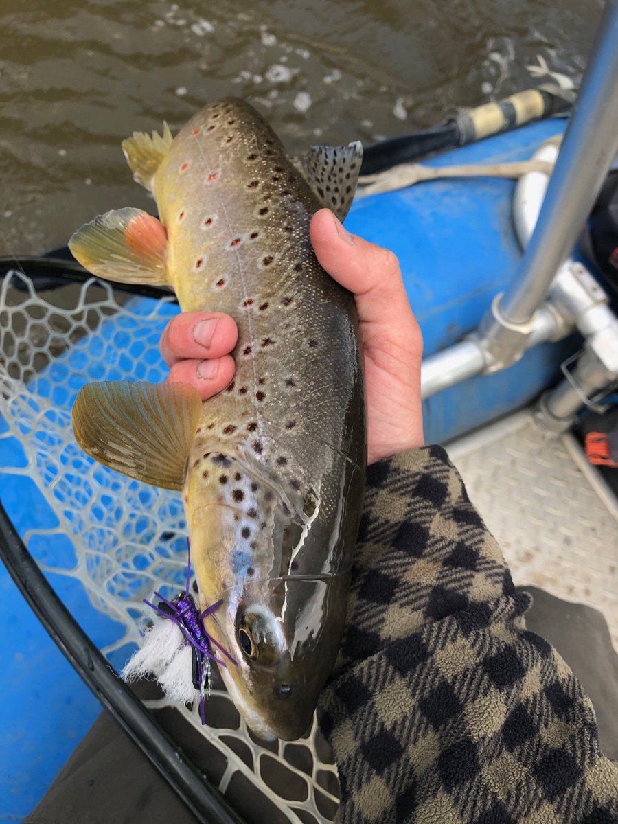 The Colorado Angler tweet media