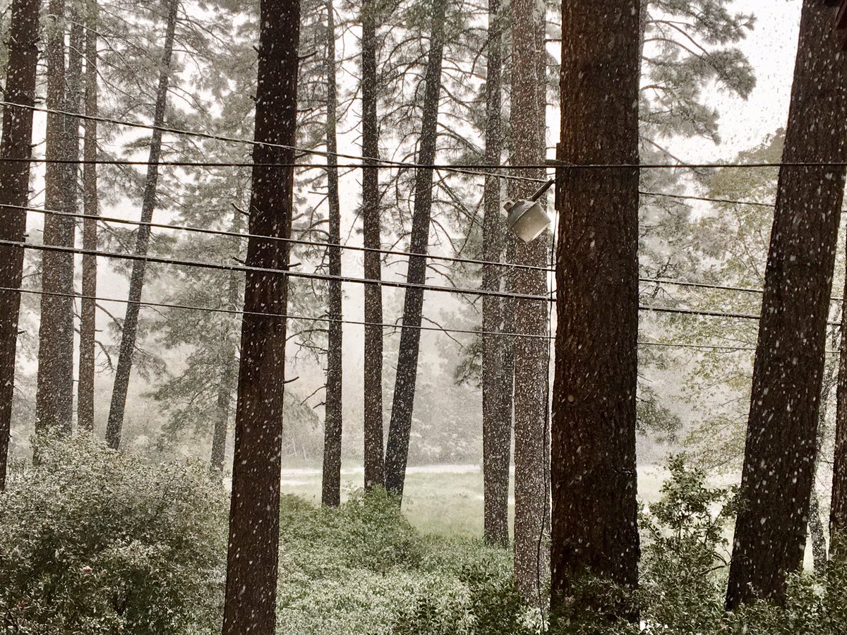 MG44Graf's tweet photo. Snow in Idyllwild California May 22nd! #Idyllwild #IdyllwildStrong #SaundersMeadow #California #WednesdayMotivation #WednesdayMood #ClimateChange #Snow https://t.co/C9svReJhXh