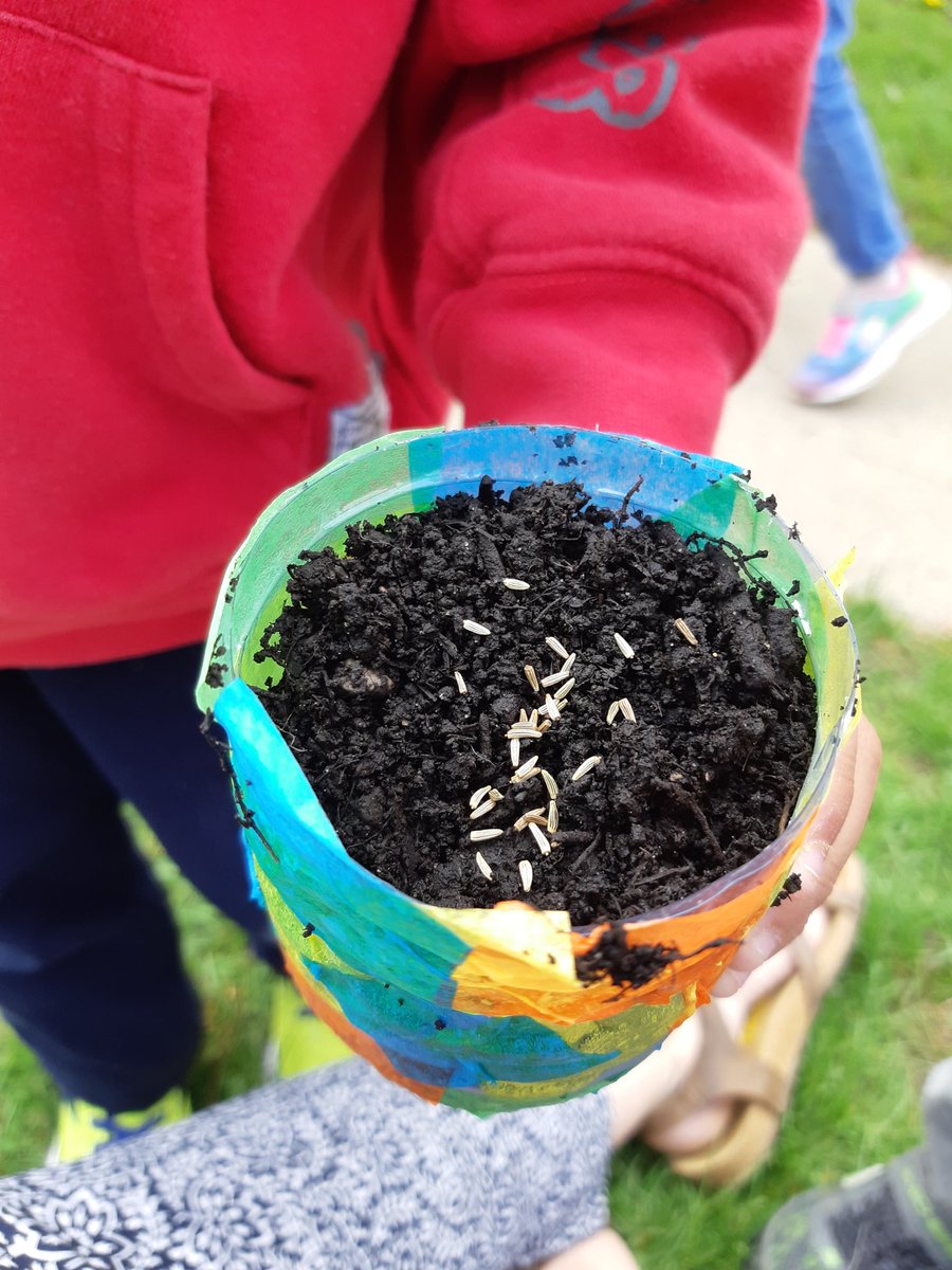 Taylorjones052's tweet photo. Today was day 6 for our potted plants. We used recycled bottles to plant flowers for the bees we have been learning about. We will be tracking the days and measuring the plant growth. ♻️🌼🌱 https://t.co/UMOCipeR3Q