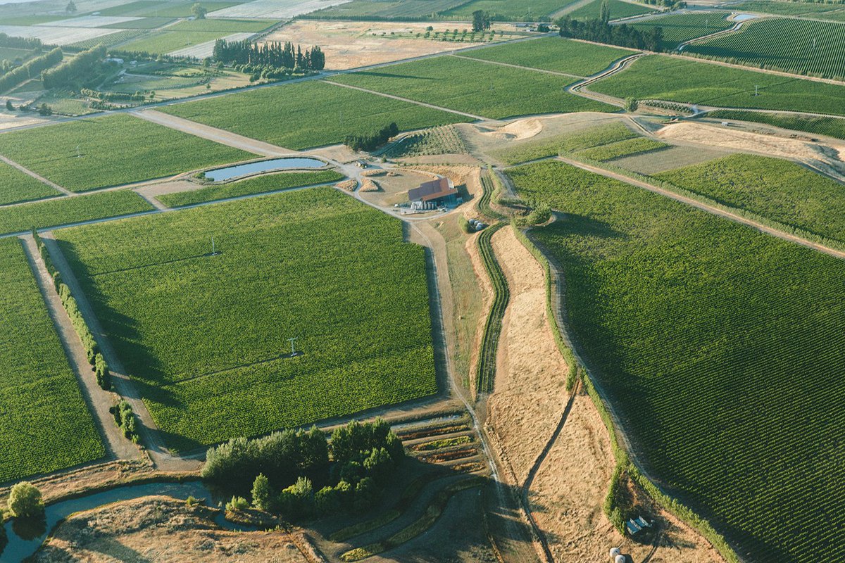 Wine// Happy International Chardonnay Day.
A birds eye view shows the winding 4 rows of Chardonnay at the heart of our Estate. Due to the limited quantity, it is only available to our Wine Club members.
#InternationalChardonnayDay #nzwine #Chardonnay #CentralOtago #organic