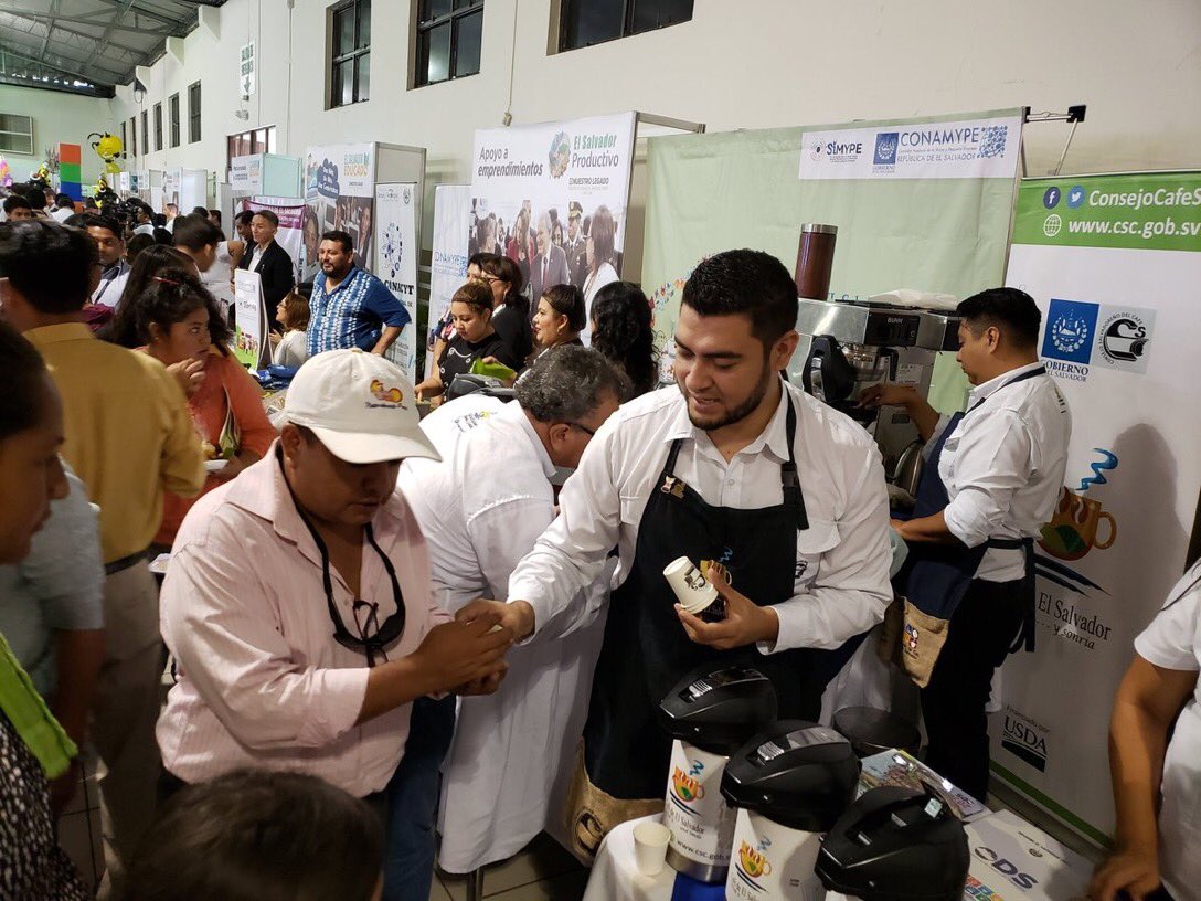 ConsejoCafeSV's tweet photo. #DirectorCSC Como parte de las instituciones al servicio de la caficultura que dirige #MinistroOrtez, el @ConsejoCafeSV participó en presentación Informe Cumplimiento Plan Quinquenal de Desarrollo 2014-2019 El Salvador Productivo, Educado y Seguro del Presidente @sanchezceren https://t.co/LaDcFckUlD