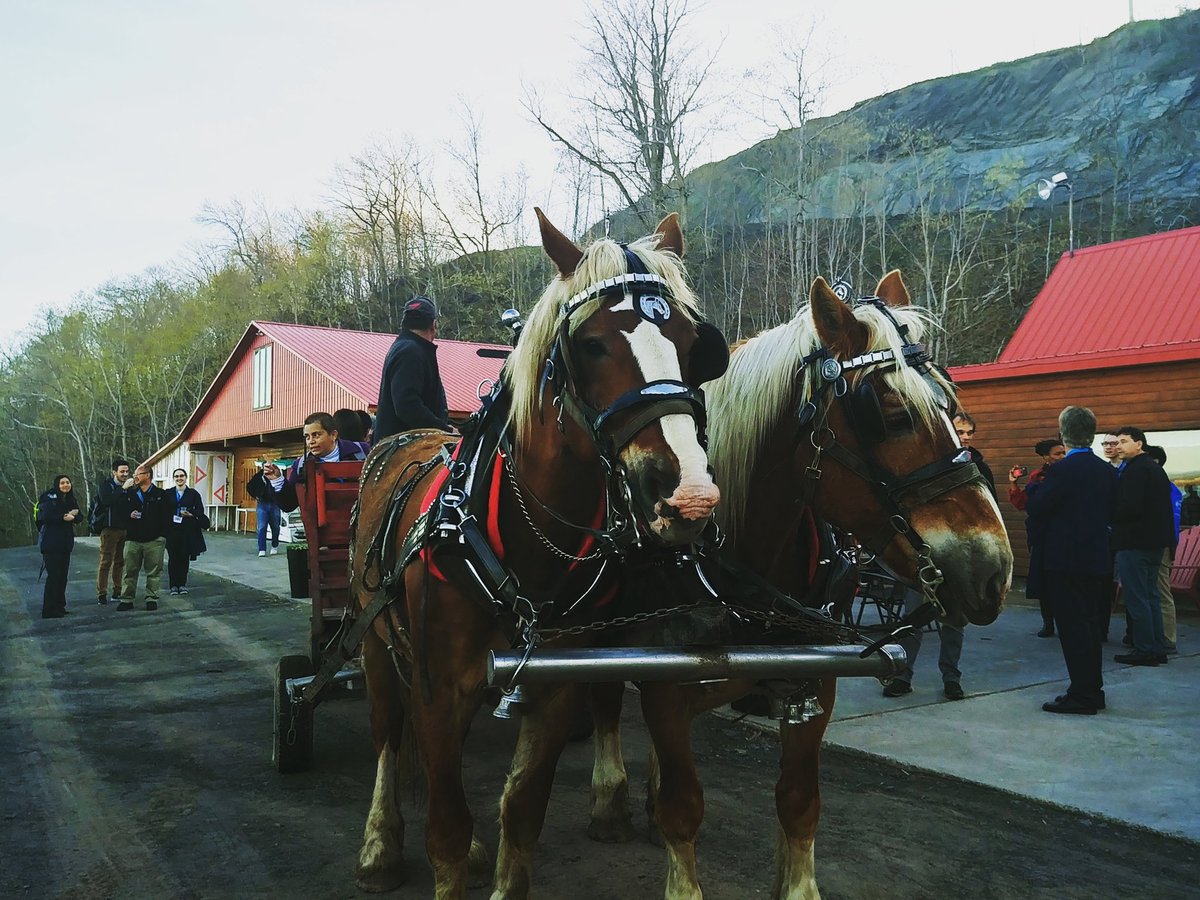 IEEEPhotonics's tweet photo. When in Quebec! 🇨🇦 #ETOP2019 🐎 🐎 https://t.co/61PxDneHHw