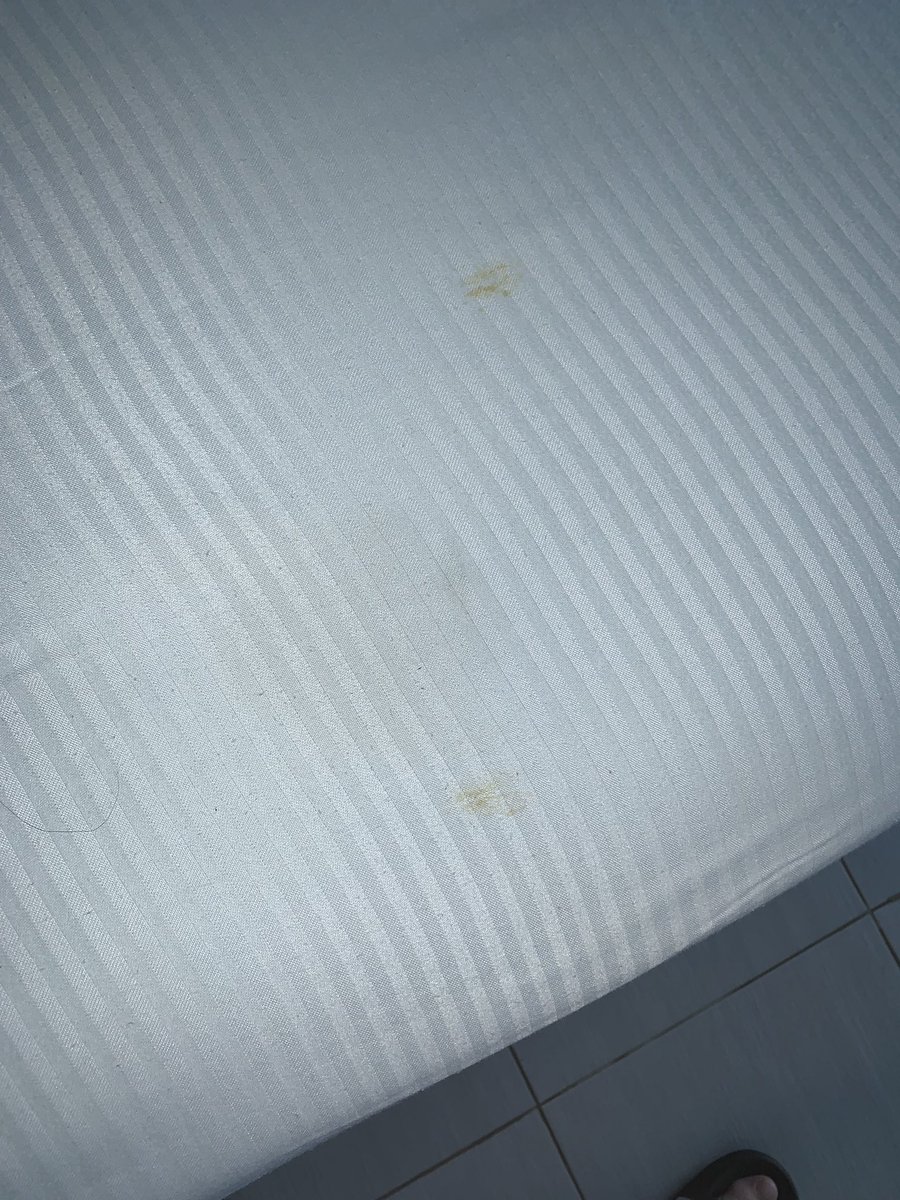 Hugo Murphy tweet media