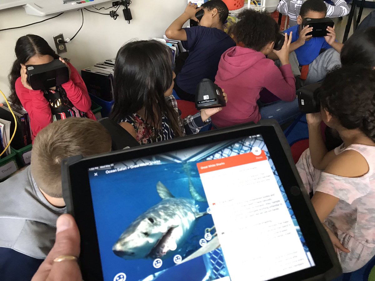 Lisa Jamin tweet media