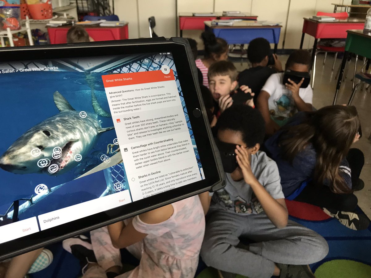 Lisa Jamin tweet media