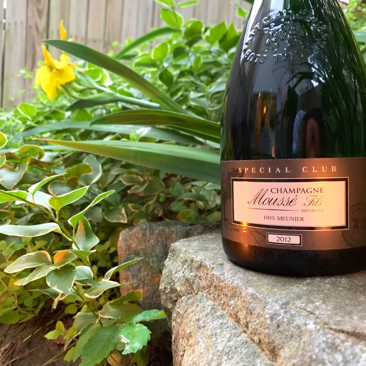 Feels like the right kinda night for a #cheese board and #champagne supper in the garden!