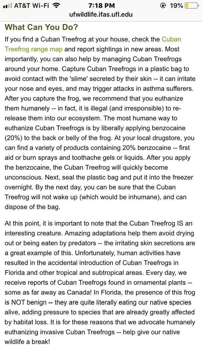 CharTheMaster's tweet photo. Rt to save a native tree frog species life. 

The Cuban tree frogs must be stopped. https://t.co/nWuT7v7Ad5