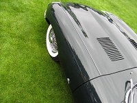 Haddock Jaguar tweet media