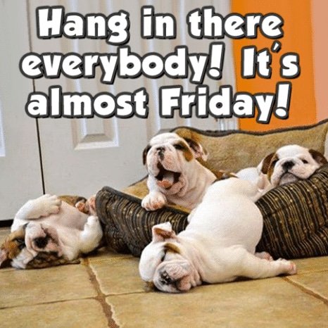 CjsTrading's tweet photo. Hang in there!!😁#isitfridayyet😅#sunday  #promotion #weekend #happy #coffee #contest #cash
#coupon #funny #friend #relax #coffee #friends #girlfriend #boyfriend #gift #love #instalike  #facebook #giveaway #girls #shopping #price #sales #etsy #amazon #ebay  #free  #onlineshopping https://t.co/VLLa4ESgHg