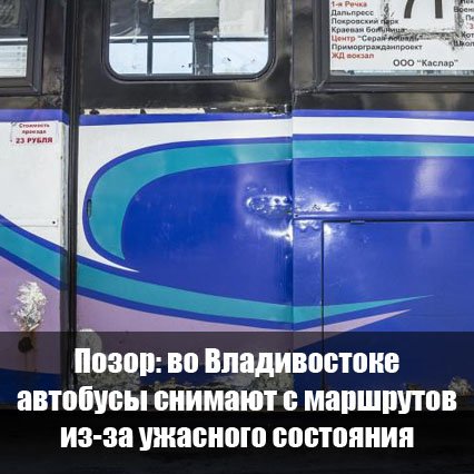 PrimVl's tweet image. primpress.ru/article/40465
#новости #Приморье #Владивосток #PRIMPRESS