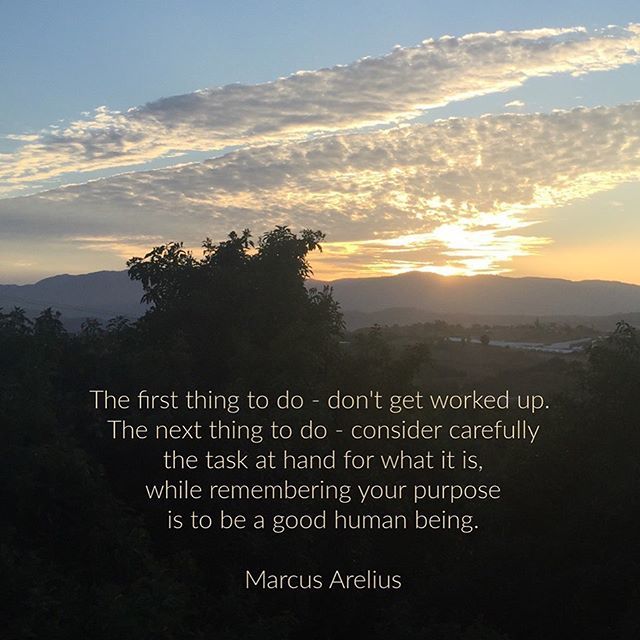 Mimi_Avocado's tweet photo. #stoicism #stoicquotes https://t.co/I8g2fbC5uF https://t.co/lsY1jULbj4