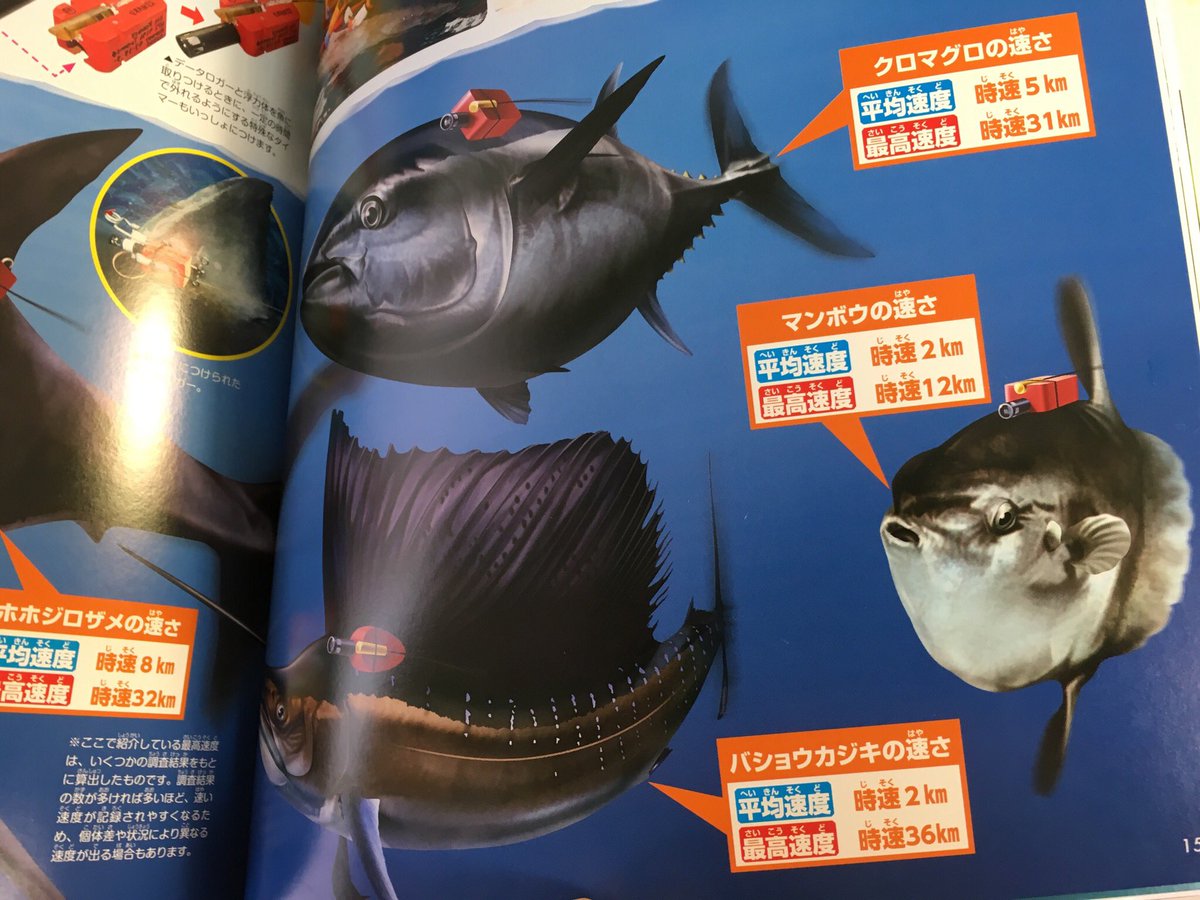 「バショウカジキは時速100キロ以上で泳ぐ、なんて巷では言われてるけど
発信機つけて測定してみたら全然そんなことなかったぜ」
っていう最新の情報が盛り込まれてて
子ども向けの図鑑流石かよ〜〜!!ってなった。
図鑑は子ども向け程しっ…