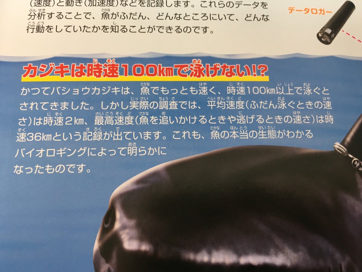 「バショウカジキは時速100キロ以上で泳ぐ、なんて巷では言われてるけど
発信機つけて測定してみたら全然そんなことなかったぜ」
っていう最新の情報が盛り込まれてて
子ども向けの図鑑流石かよ〜〜!!ってなった。
図鑑は子ども向け程しっ…