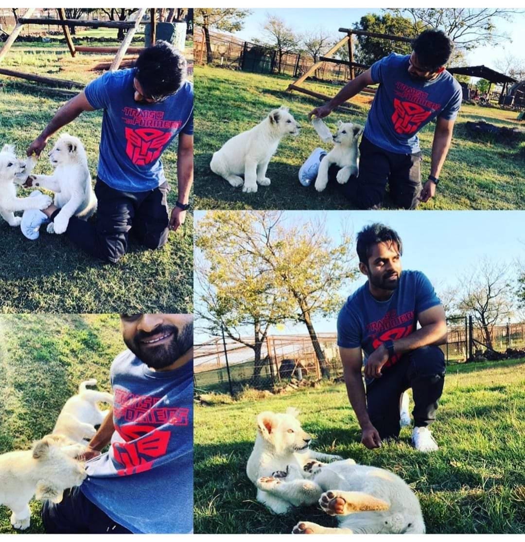 JManjunath16's tweet photo. These baby cubs #Lionel ❤️ and #Leroy ❤️rhinoandlion nature reserve are so cute they loved my shoes, my t-shirt and their  bottle so much that it became their toy up until I was there... #nature #lioncubs… https://t.co/beWVDR6fJT https://t.co/f32OKHIYfP