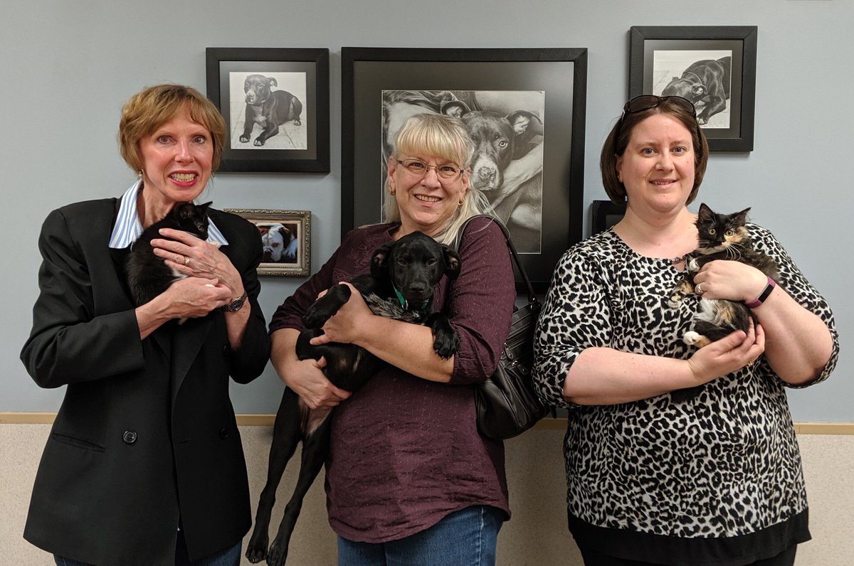 ADOPTPetShelter's tweet photo. For the month of April, #MusicalExpressions collected monetary donations for us and raised $200!
Thank you so much!
#donate #naperville #communitysupport #adoptdontshop https://t.co/BTQAg3TNGl