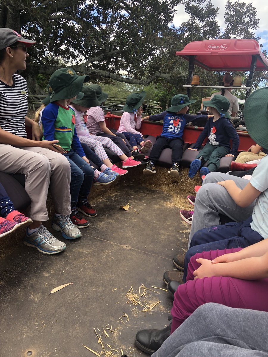 SamfordSS's tweet image. A day of learning at the farm. The tractor was voted as the best classroom ever.