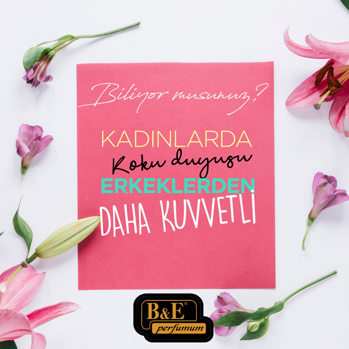 KADINLARDA KOKU DUYUSU ERKEKLERE KIYASLA DAHA KUVVETLİ👩🏼‍💼👨🏼‍💼🌸
instagram.com/p/BxjnrDRgFIw/
.
.
📞 (+90) 532 374 14 75
🌐 beparfumum.com
📩 vedatkaracay@beparfumum.com
.
.
#beparfumum #parfüm #koku #parfümçeşitleri #kadınparfüm #erkekparfüm #bambuodakokuları #parfümler