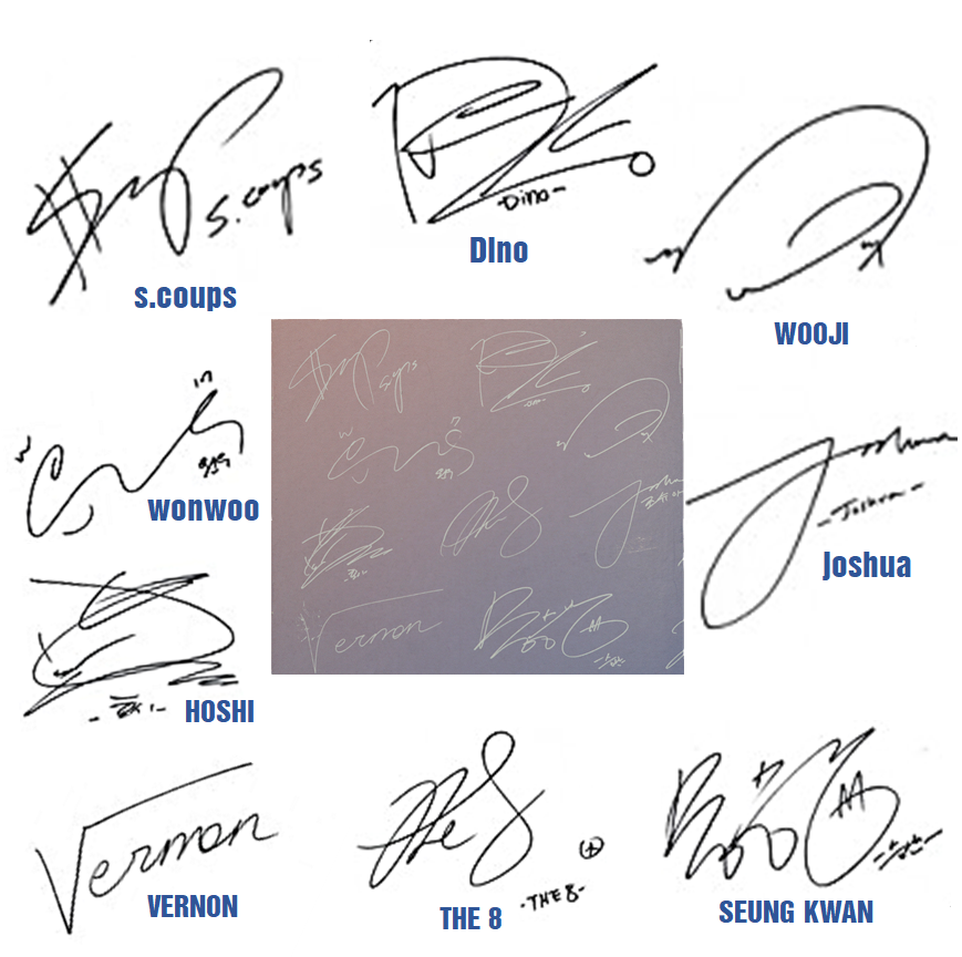 seventeen The8 サイン