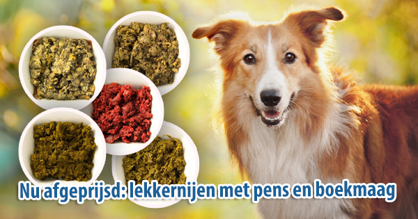 Vriesvoer's tweet photo. ❗ Nu afgeprijsd: lekkernijen met pens en boekmaag ❗
Er wacht een speciale korting van 10% op u!

➡ https://t.co/X7r54oVdTC

.#honden #katten #vriesvoer #versvoer #barf #hondenvoer #kattenvoer #kauwartikelen #healtydog #cat #dog #rawfood #puppy https://t.co/5ovoYeaah5