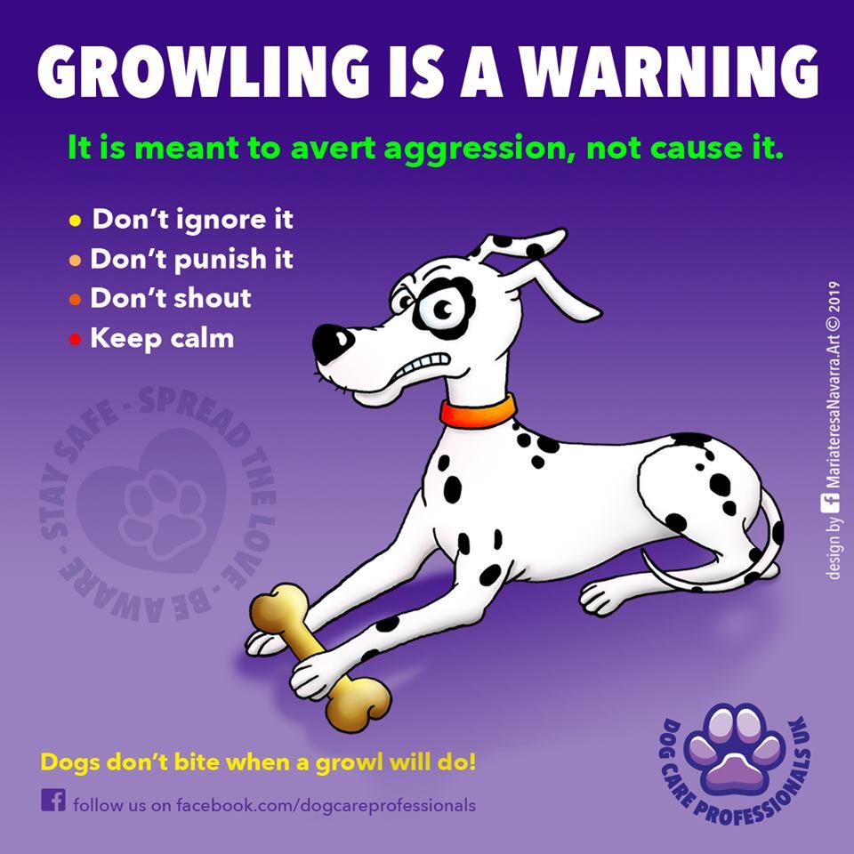 Dog Care Professionals UK tweet media