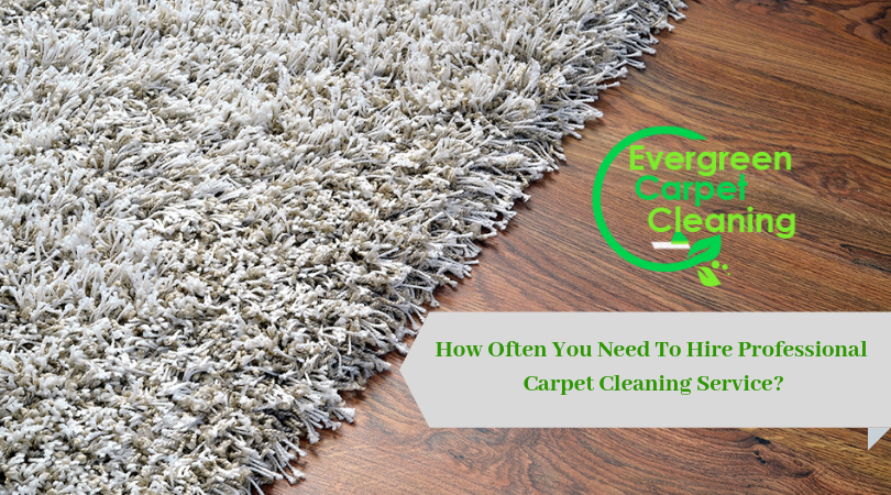 How Often You Need To Hire Professional Carpet Cleaning Service?

#carpetcleaning #carpetcleaningservice #carpetcleaners #professionalcarpetcleaning #carpetcleaninginmississauga #mississaugaontario   

lnkd.in/fcUmT3d
