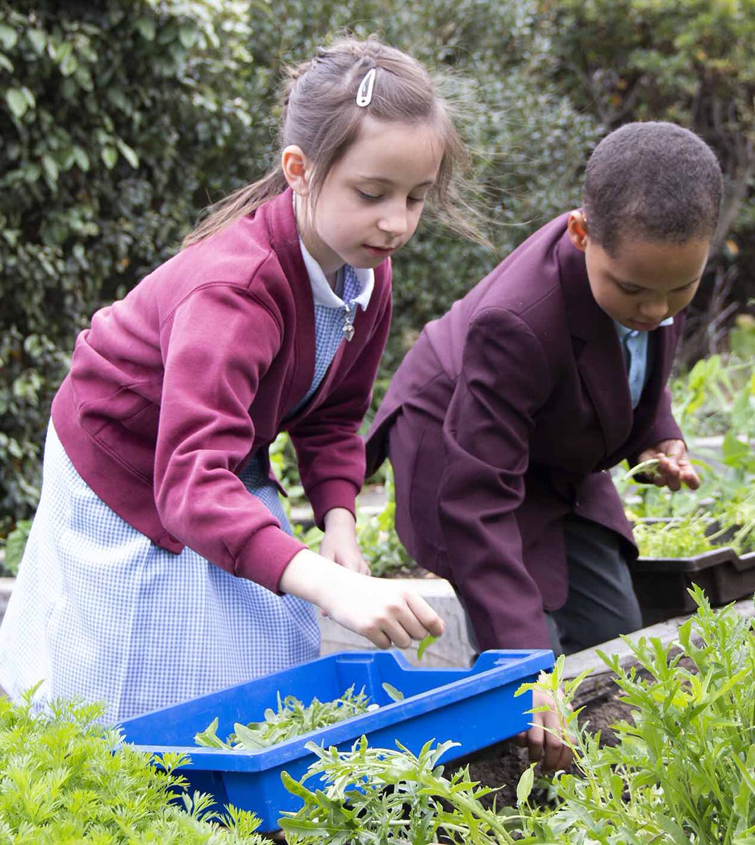 “We need to give kids the experience of what healthy food is. Our children need to plant it, grow it, and prepare it”
Barnaby Spring 
#ThursdayMotivation 
<a href="/chandco/">CH&CO</a> <a href="/EducatorMagUK/">The Educator Magazine U.K.</a> <a href="/EDUcateringmag/">EDUcatering</a> <a href="/LACA_UK/">The School Food People</a> <a href="/chefneil2/">chefneil</a> <a href="/Clarelock3/">Clare lock</a> <a href="/ecowarriorscw/">Eco Warriors</a> <a href="/StAnnesVauxhall/">St Anne's</a> @PirbrightSchool