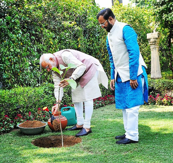 ChuadhariRaj's tweet photo. @narendramodi 🙏😊🌳🌳😊🙏 https://t.co/LEapv6uUMR