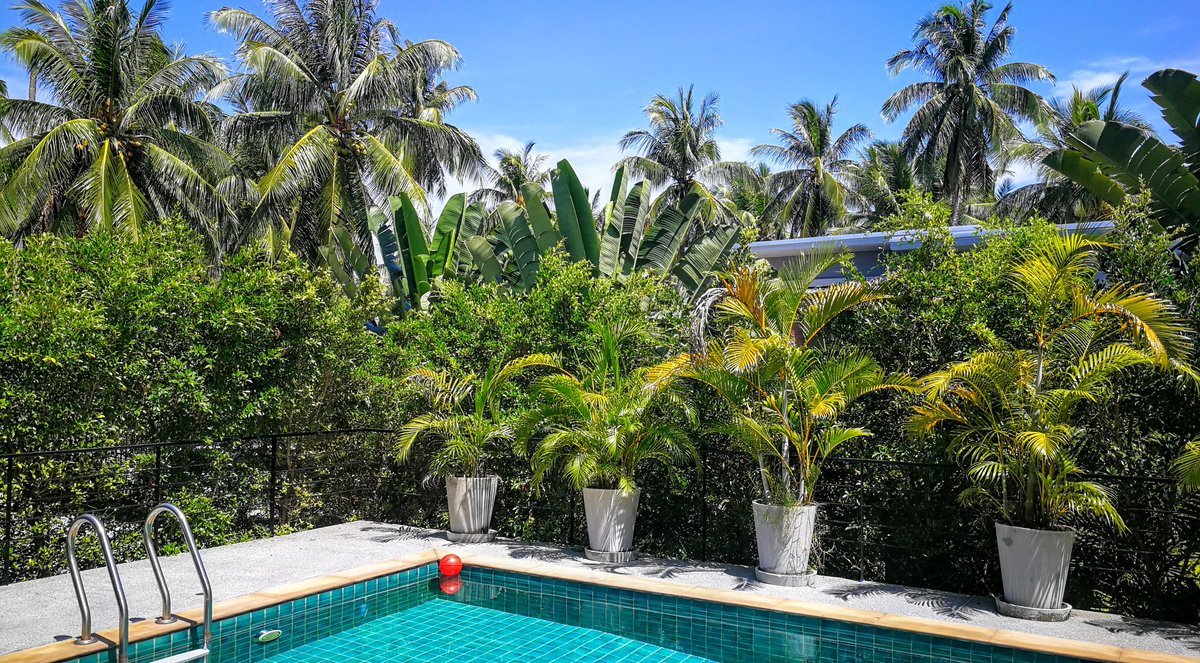 onlinepuls's tweet photo. @onlinepuls rettet die Umwelt. Keine weite Anreise aus Thailand zum  @scd_2019 #scd19. Wir bleiben in unserem Office am Pool. 😎 Viel Spaß euch allen! 🤟 https://t.co/bLHrkIOwD5