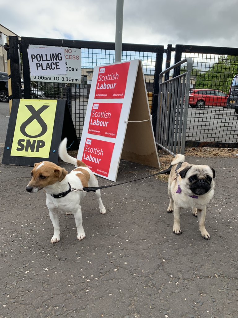 aileenbo's tweet photo. And the deed is done! #dogsatpollingstations https://t.co/GXp0yCZqc4