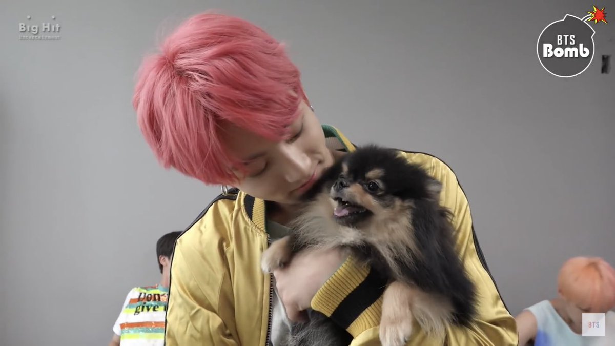 harleytae's tweet photo. the one and only real bts y/n https://t.co/FhoZGajBZS