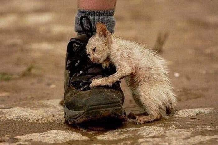 Safa69074's tweet photo. - sometimes ,
Life makes you bear the pain without your choice 💔 "

- بعض الأحيان ،
الحياة تجعلك تتحمل الألم دون اختيارك 💔 " https://t.co/HfJONDDTau
