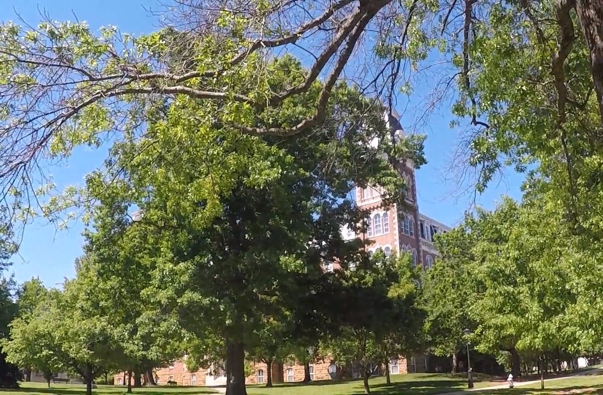 #UniversityofArkansas few paces to the south of #Fayetteville #dentist #McQueenDental