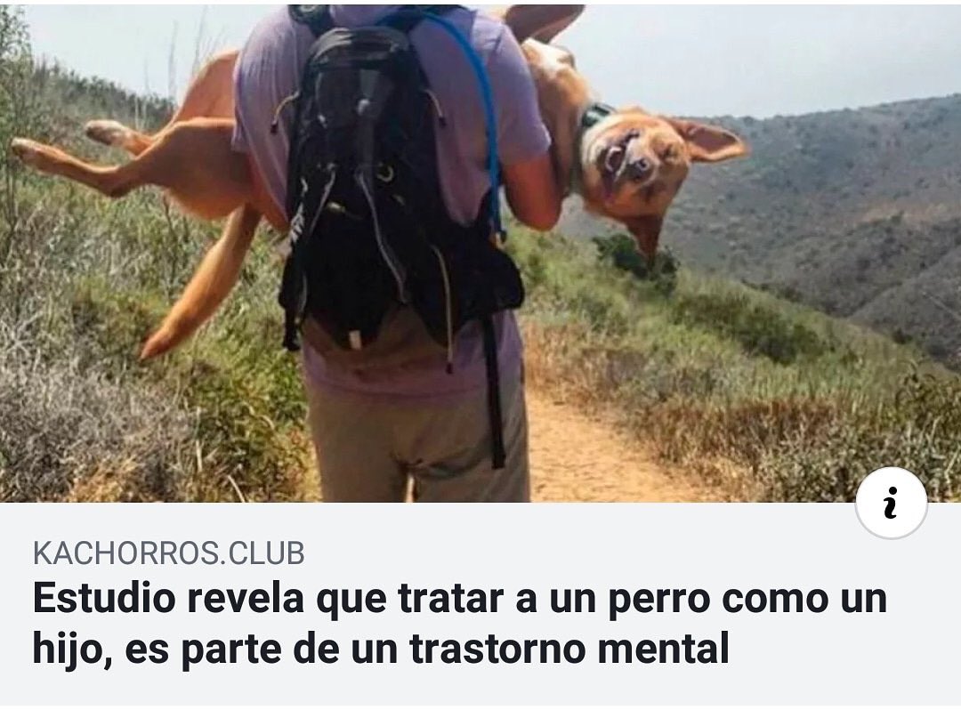 elcosodelapizza's tweet photo. debo tener un trastorno mental severo entonces https://t.co/sHBu0PtmQ3