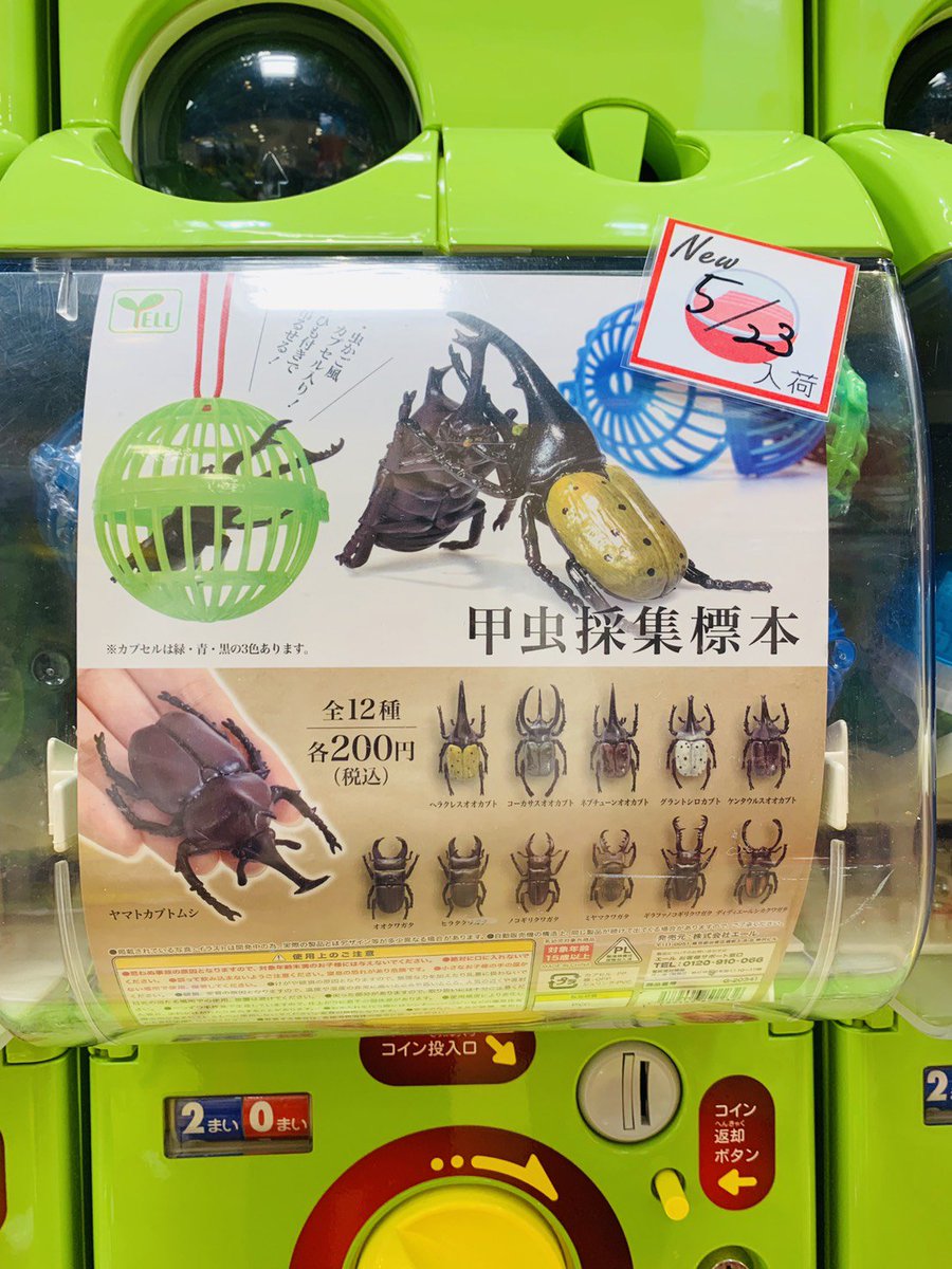 ガチャ王国アルパーク店 En Twitter ガチャ王国アルパーク店です 新商品入荷しました 昆虫採集標本 先日の 昆虫の森 に引き続き素敵なガチャの登場です ガチャ王国 ガチャコレクション 昆虫採集 昆虫標本 ミニチュア 夏の醍醐味 夏休み アルパーク