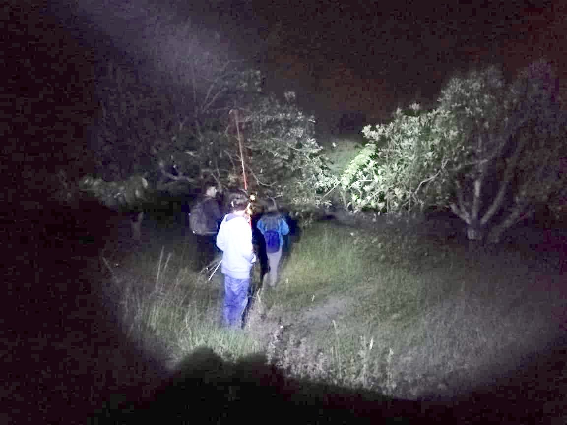 SiembraEP's tweet photo. #YachayTeCuenta 🔔|Para culminar el Día Internacional de la Biodiversidad, realizamos un tour nocturno para apreciar la fauna que posee @CiudadYachay. Aquí los visitantes pudieron observarar animales como murciélagos, insectos, búhos, lechuzas, entre otros. https://t.co/1AJur3Jhor