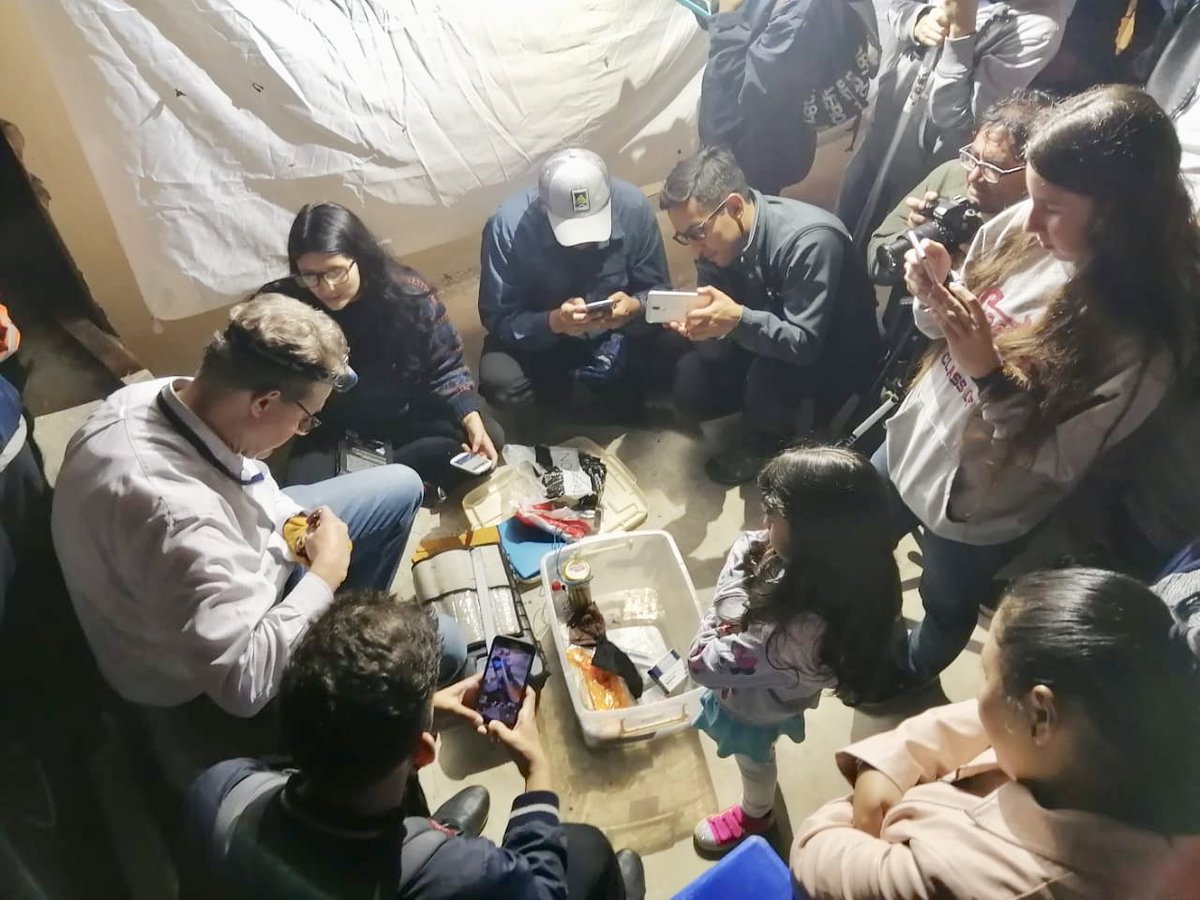 SiembraEP's tweet photo. #YachayTeCuenta 🔔|Para culminar el Día Internacional de la Biodiversidad, realizamos un tour nocturno para apreciar la fauna que posee @CiudadYachay. Aquí los visitantes pudieron observarar animales como murciélagos, insectos, búhos, lechuzas, entre otros. https://t.co/1AJur3Jhor