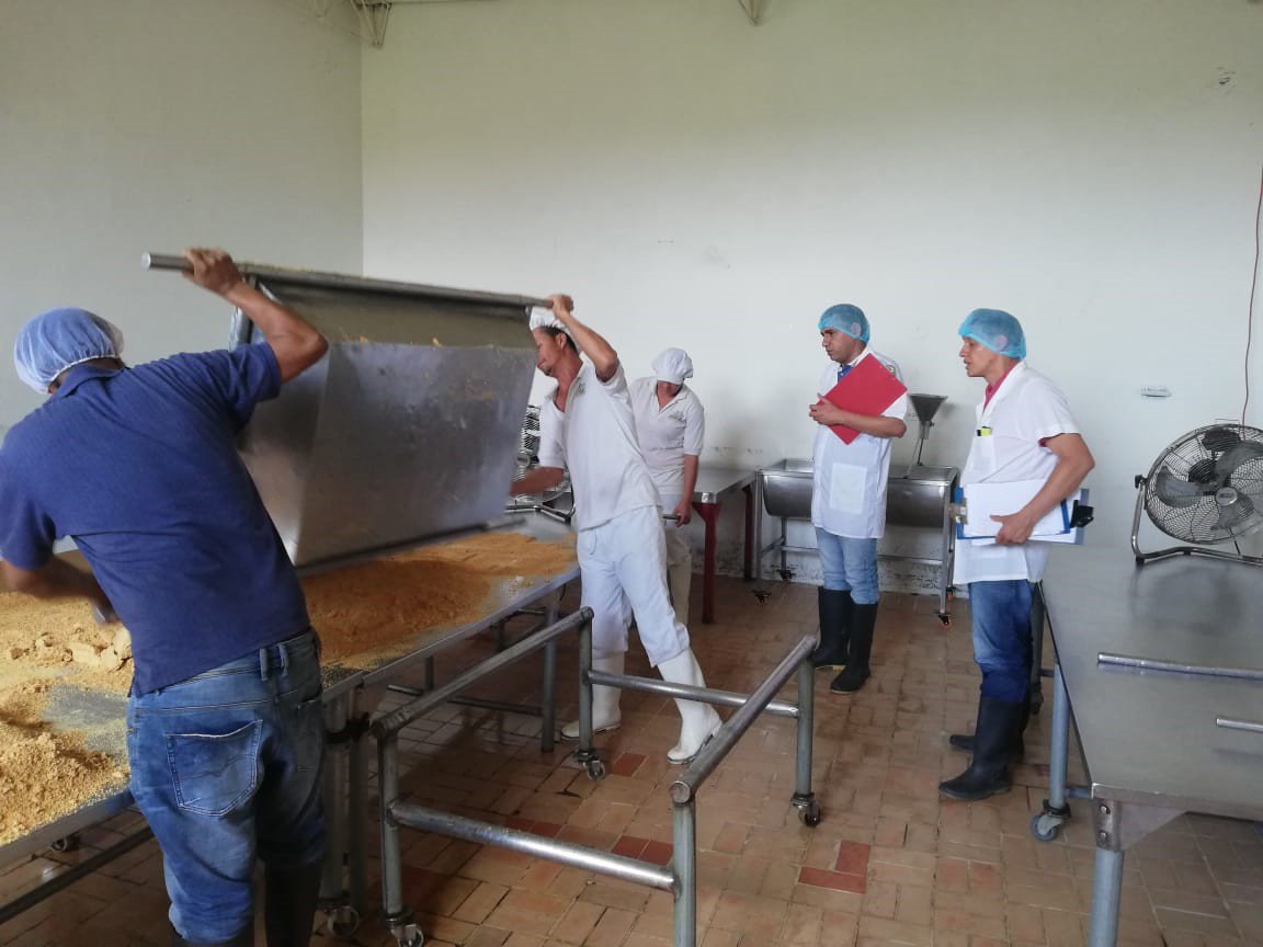 SER_CTMAE's tweet photo. #SENAEmprendeRural En #SanRoque_ANT, formación en Transformación de Caña Panelera, realizamos taller "Buenas practicas de manufactura (BPM)" en Trapiche ECODULA, fortalecemos la Agroindustria.

@EstradaCarlosM @hernanfuentes @CarlosAGamba @acalderon1974 @Walterquiver @fcanogomez https://t.co/zHimwGmKzw