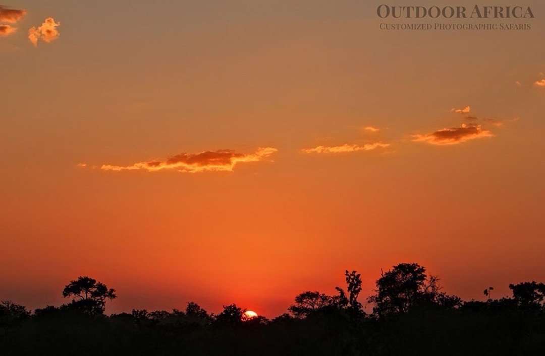 SANParks's tweet photo. Comment with your sunrise picture in any of our parks and make somebody's day. 🙂
_____
📸 @outdoorafrica | #KrugerNationalPark #LiveYourWild #tourism #wedotourism #travelphotography #travel #wildlifephotography #wildlife #sunrise #safari #kruger #thisissouthafrica https://t.co/OEnP883sTh