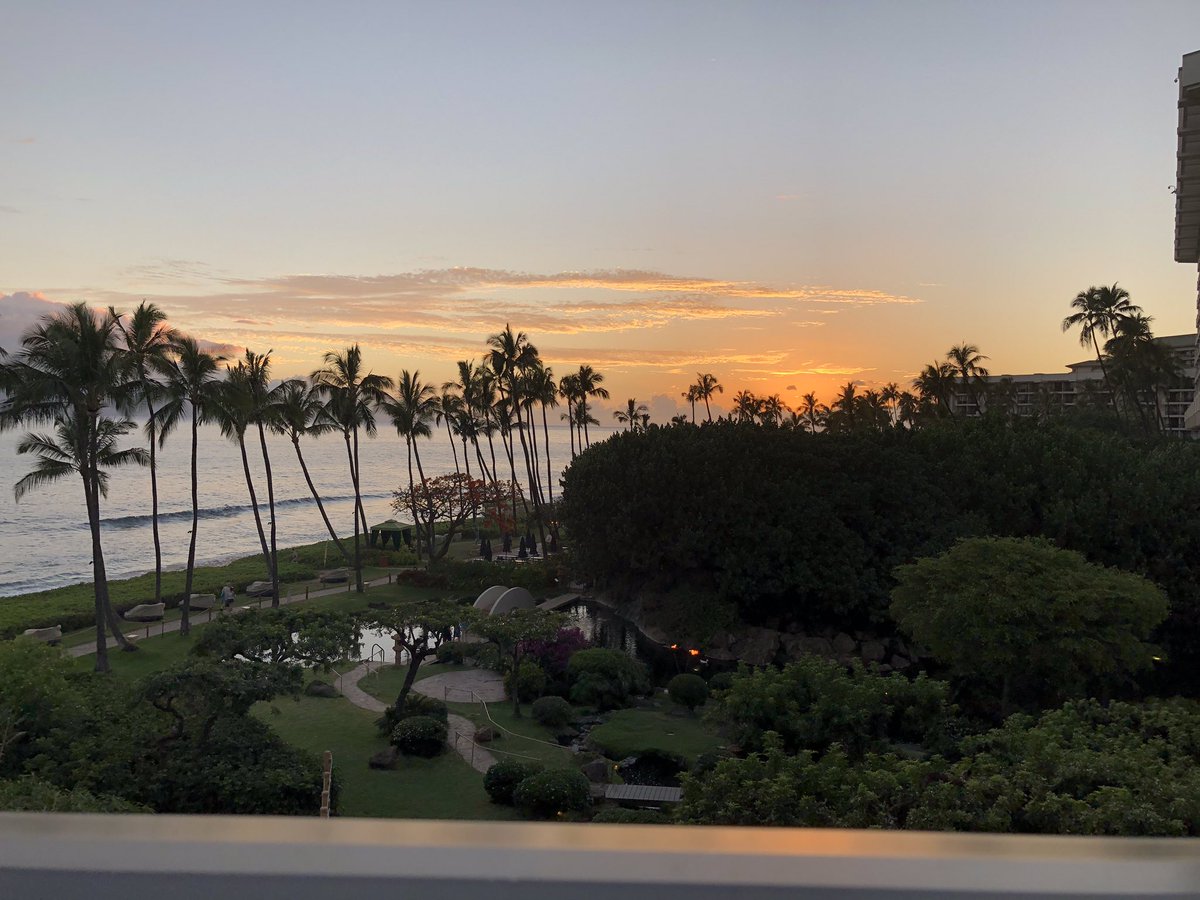 On vacation and we got all excited when they said “lots of whales around right now”! Then we realized - they were referring to me. Now, some Russian guys are following me around with a spear gun!