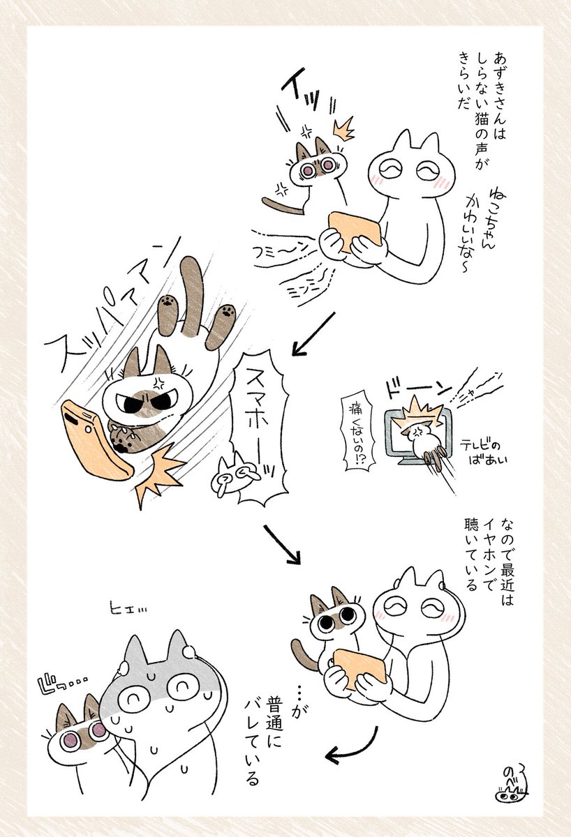 のべ子 シャム猫あずきさん 最近は家の外で観てる ねこ日記