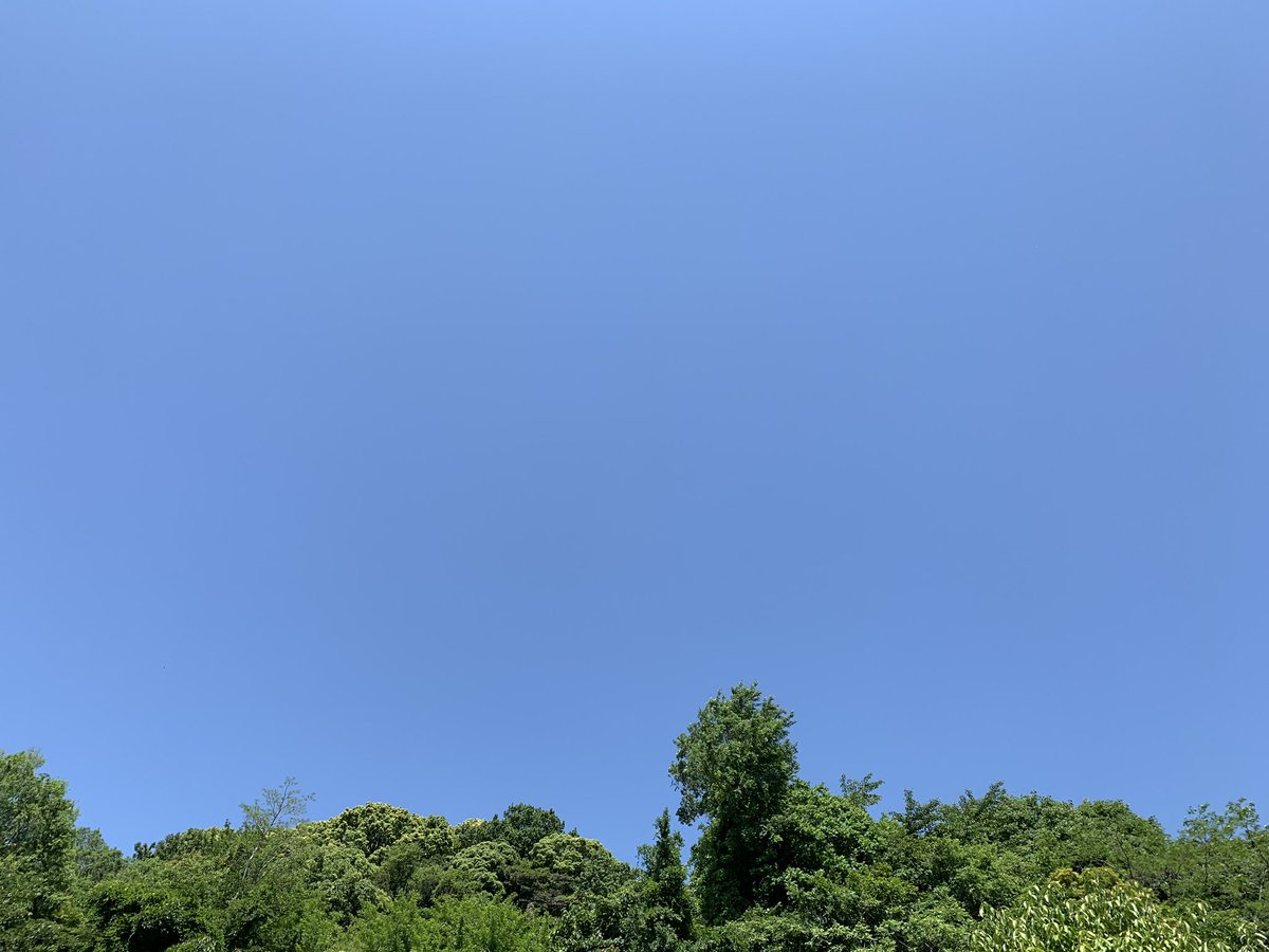 やる気が迷子 やる気が迷子