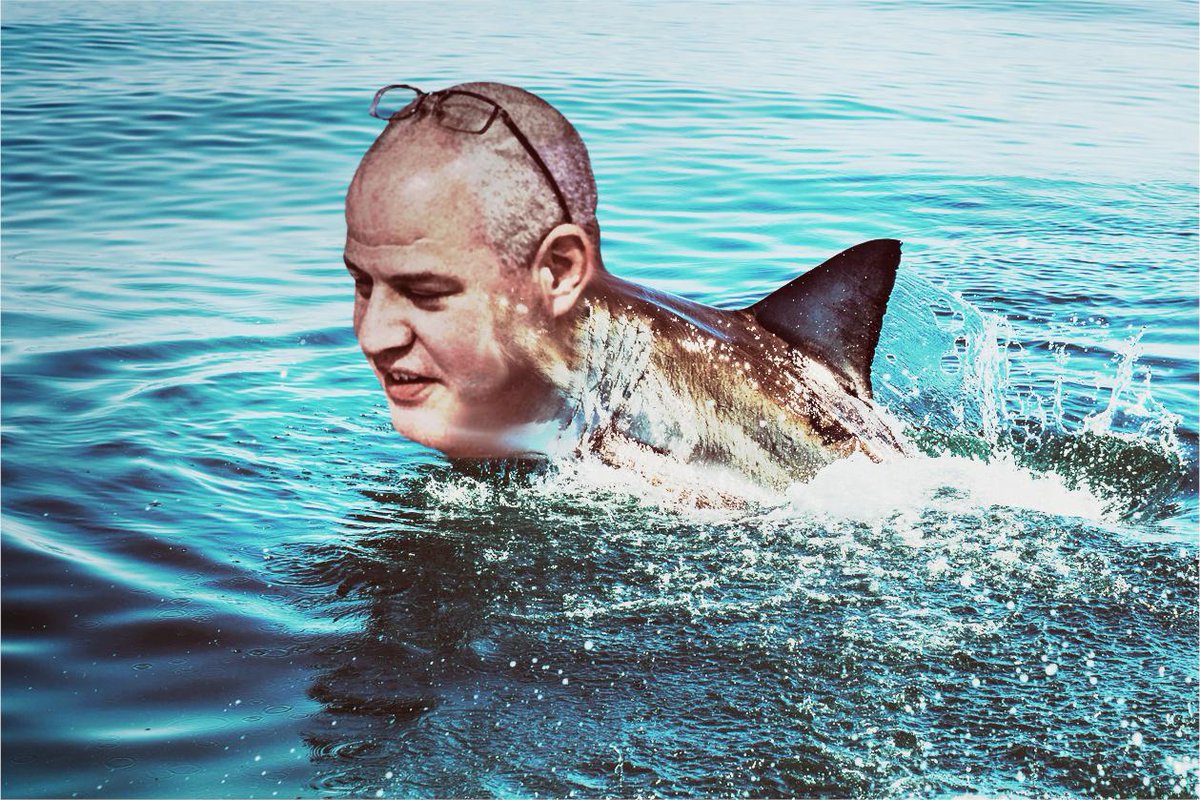 bsjett's tweet image. Despite not being able to have children or see skin color, the Sunday Shark makes up for it with either brains, brawn, or longevity. 

How it puts its glasses on has not been captured on film. 
#TANSJS