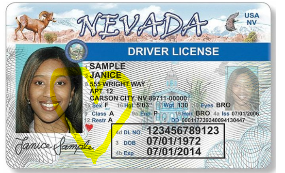 Heather Mills On Twitter Being An Organ Donor In Nevada Means You Can Save As Many As 9 Lives And Impact Up To 75 With Tissue Donation Plus You Get A Cute