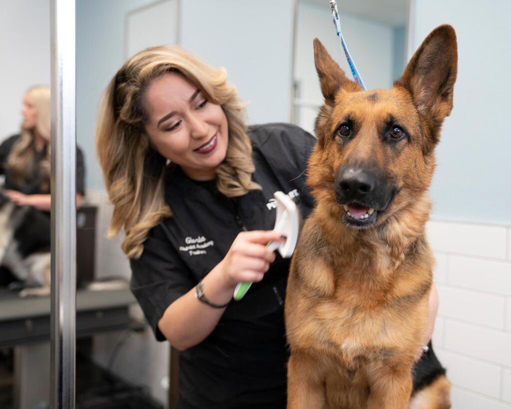 Calling all German shepherds! 🎉💛 Thursday 5/23 is German Shepherd Day at PetSmart Grooming Salons! Book your German shepherd or German shepherd mix now for a bath or groom and get 15% off your service! 🛁 #petsmartgrooming ptsmrt.co/PetServices